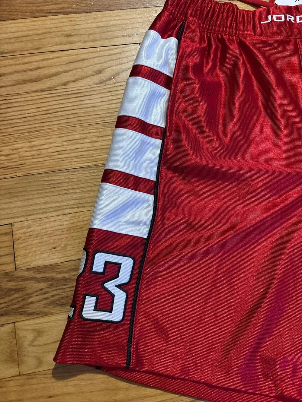 Nike Jordan Brooklyn Cat Scratch  Basketball Shorts Men’s sz L NEW!